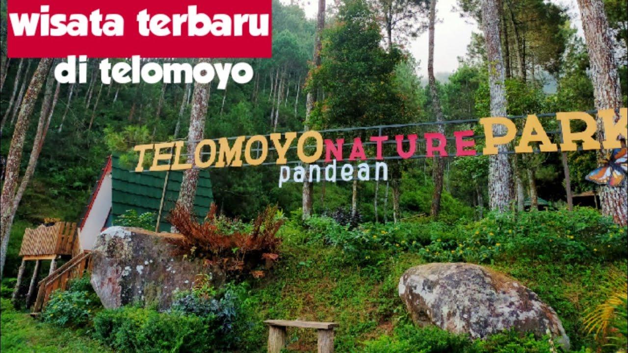 Telomoyo Nature Park: Surga Keindahan Alam yang Tersembunyi